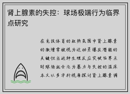 肾上腺素的失控：球场极端行为临界点研究