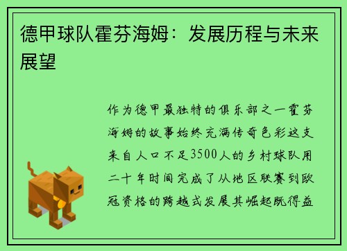德甲球队霍芬海姆：发展历程与未来展望